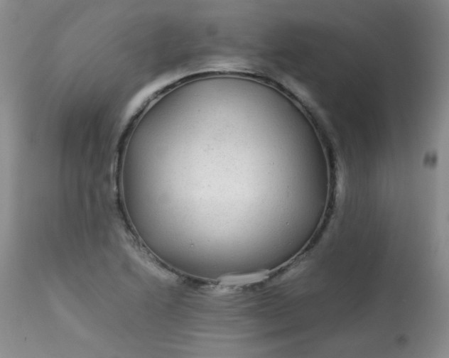 X0000113561222200910091407