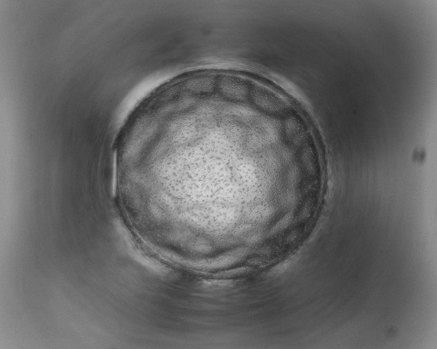 X0000113561223200910091407