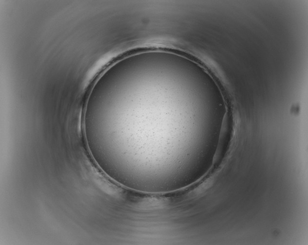 X0000113561224200910091407