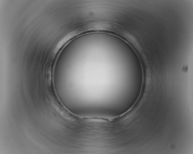 X0000113561226200910091407