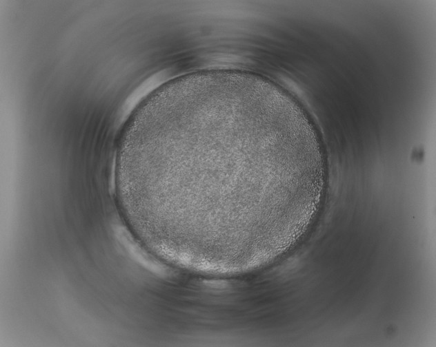 X0000113561227200910091407