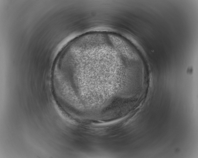 X0000113561229200910091407