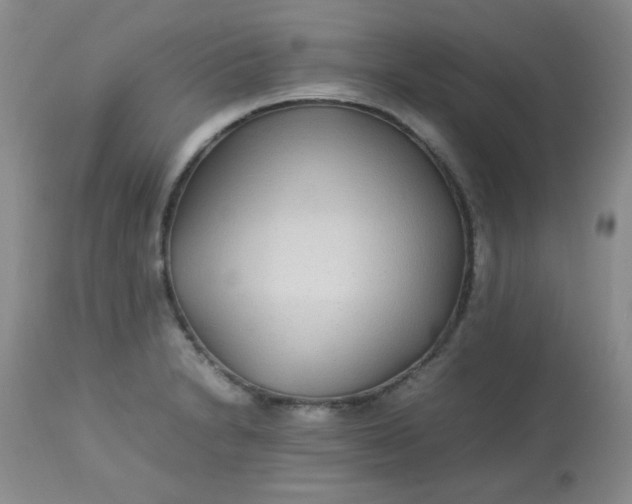 X0000113561230200910091407