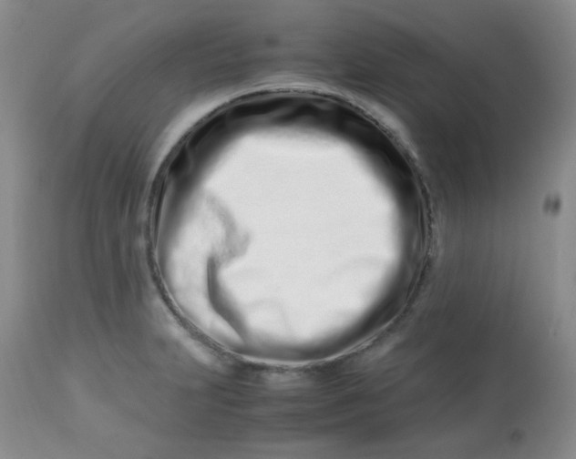 X0000113561231200910091407