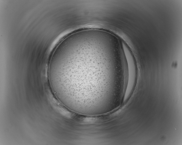 X0000113561232200910091407