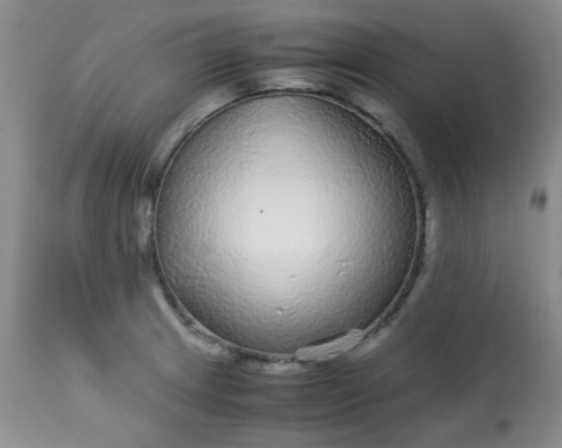 X0000113561233200910091407