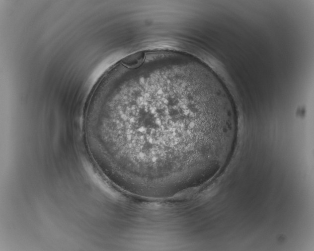 X0000113561234200910091407