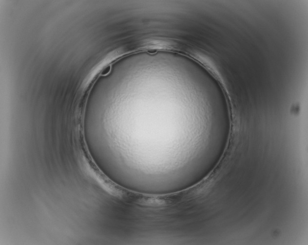 X0000113561235200910091407