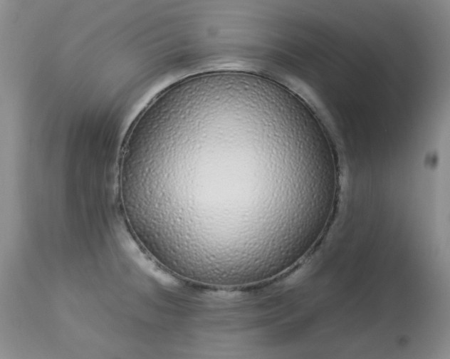 X0000113561236200910091407