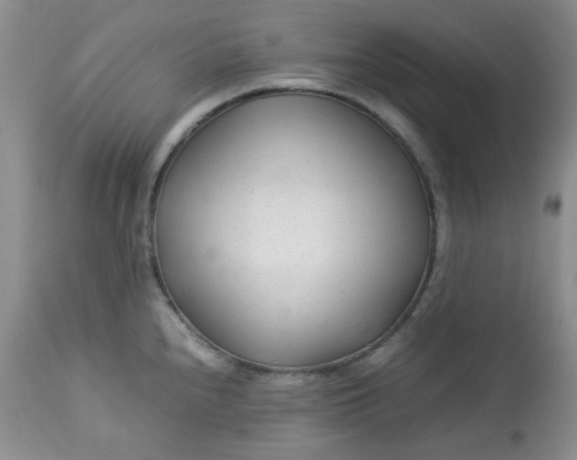 X0000113561240200910091407