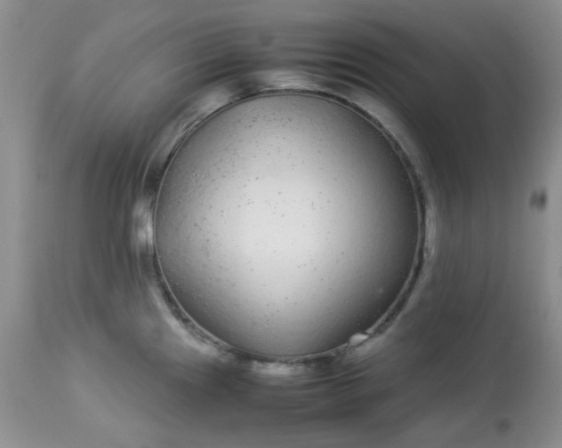 X0000113561241200910091407