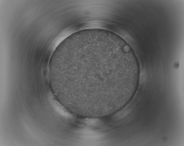 X0000113561242200910091407