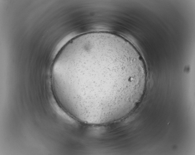 X0000113561243200910091407