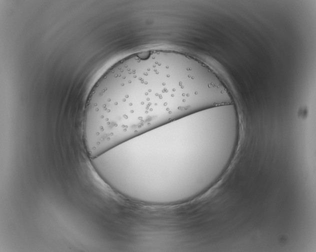 X0000113561244200910091407