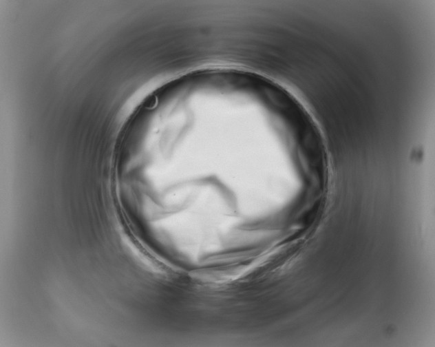 X0000113561245200910091407