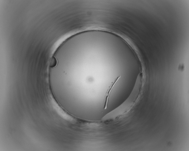 X0000113561246200910091407