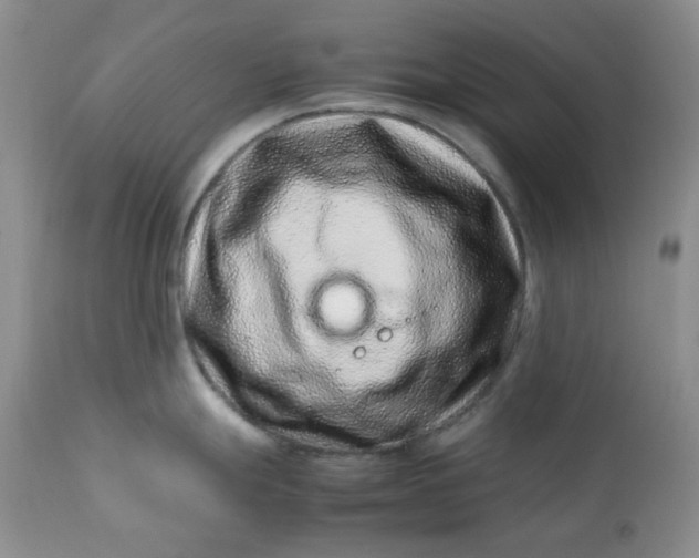 X0000113561247200910091407