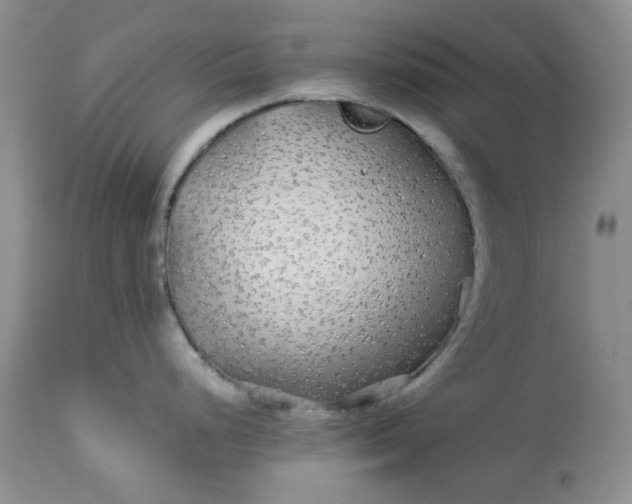 X0000113561248200910091407