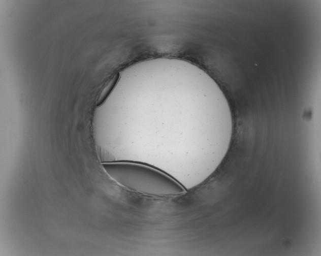 X0000113561249200910091406