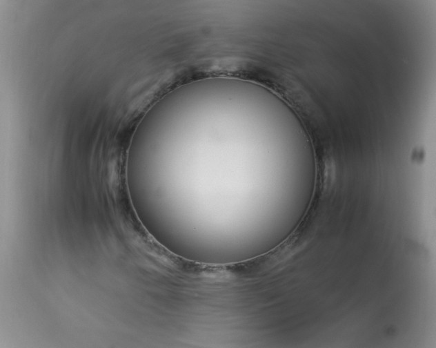 X0000113561250200910091406