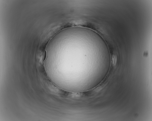 X0000113561251200910091406