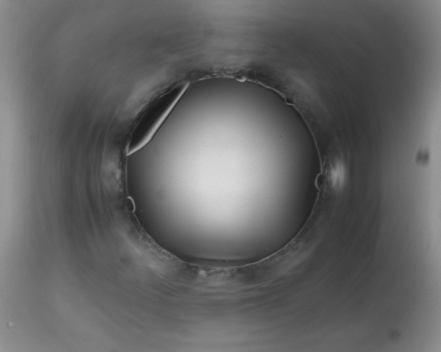 X0000113561252200910091406