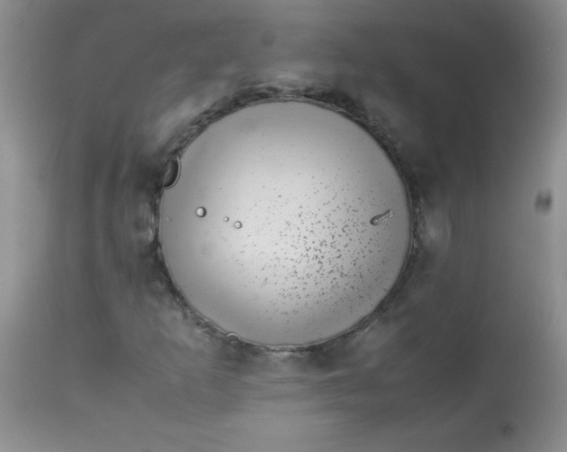 X0000113561253200910091406