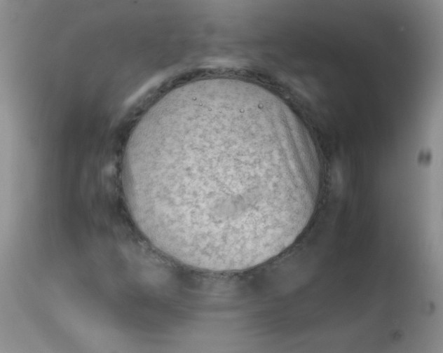 X0000113561254200910091406