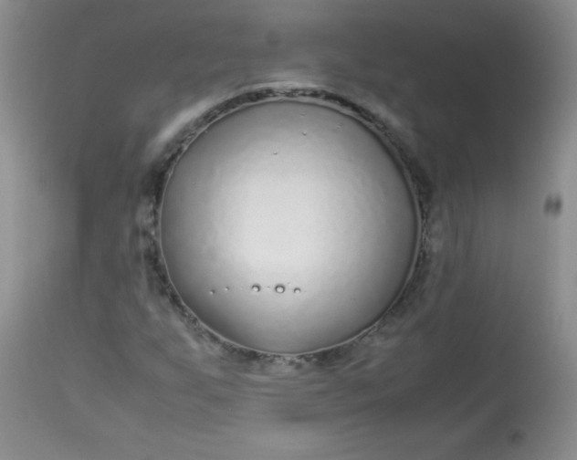 X0000113561255200910091406