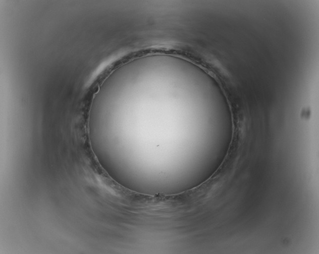 X0000113561256200910091406