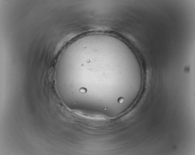 X0000113561257200910091406