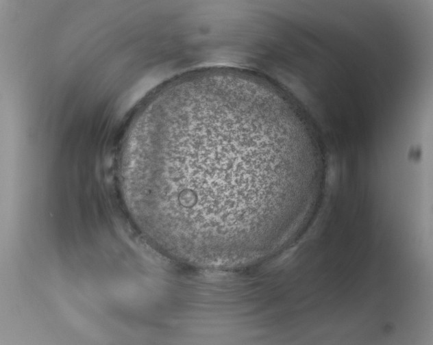 X0000113561258200910091406