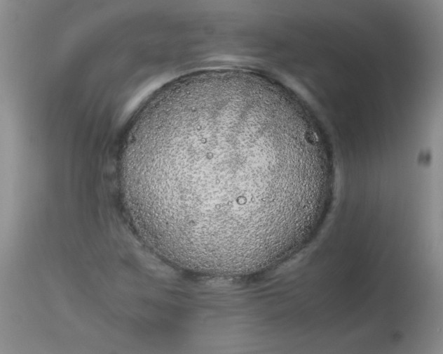 X0000113561259200910091406