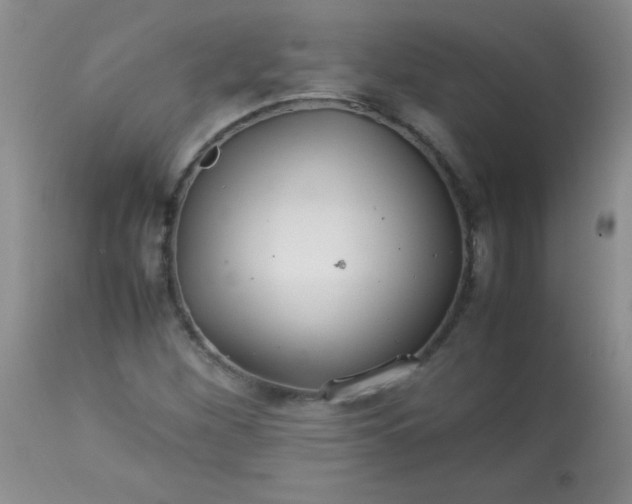 X0000113561260200910091406