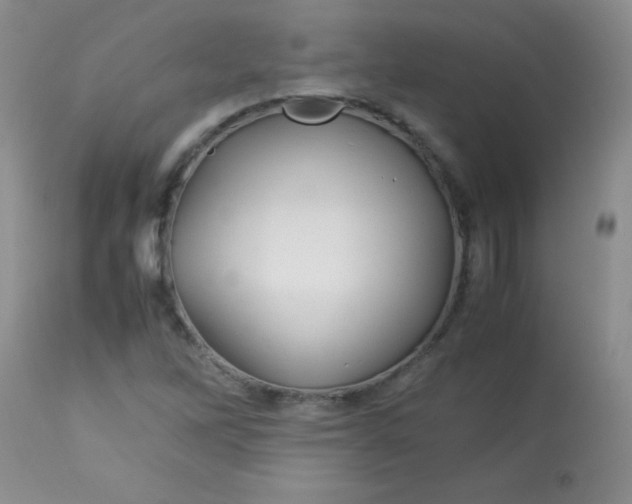 X0000113561262200910091406