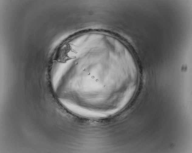 X0000113561263200910091406