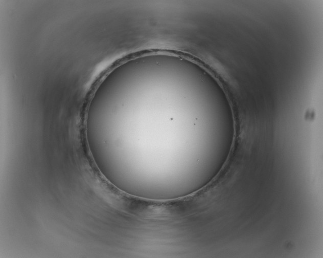 X0000113561264200910091406