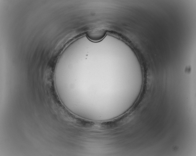 X0000113561265200910091406