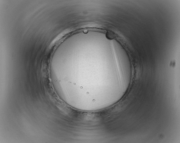 X0000113561266200910091406