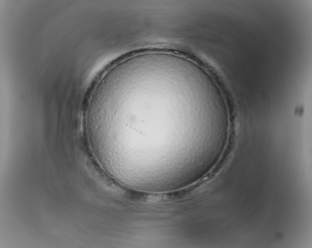 X0000113561267200910091406