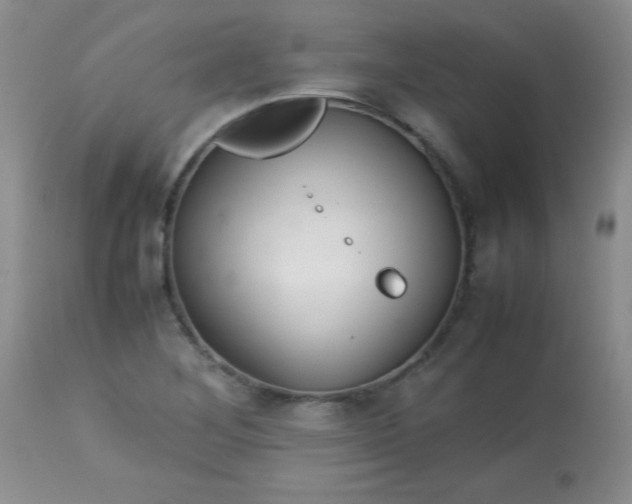 X0000113561268200910091406