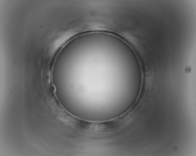 X0000113561269200910091406