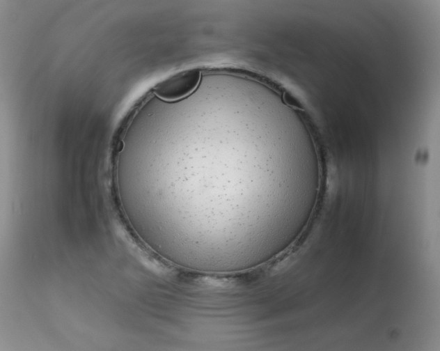 X0000113561270200910091406