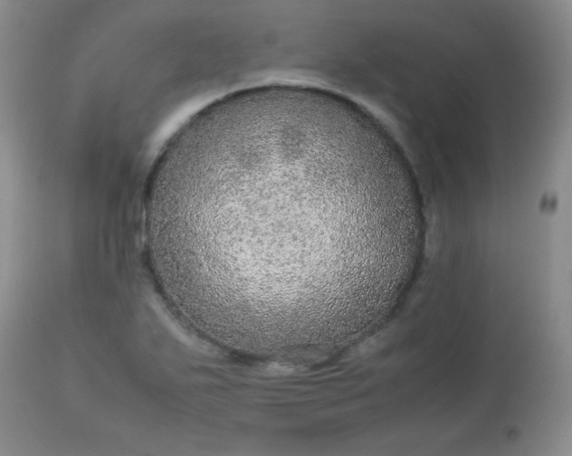 X0000113561271200910091406