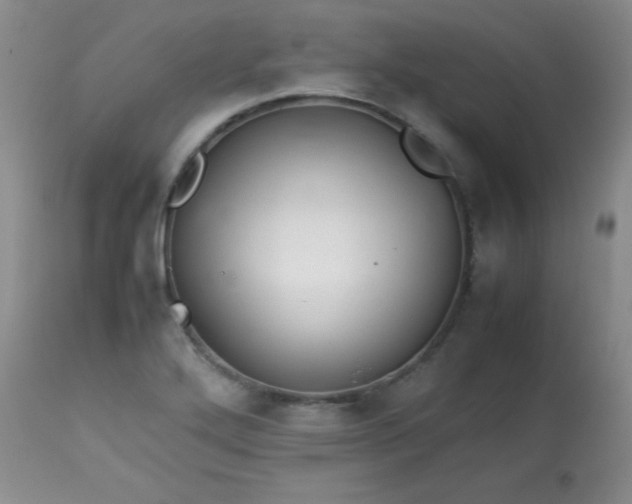 X0000113561272200910091406