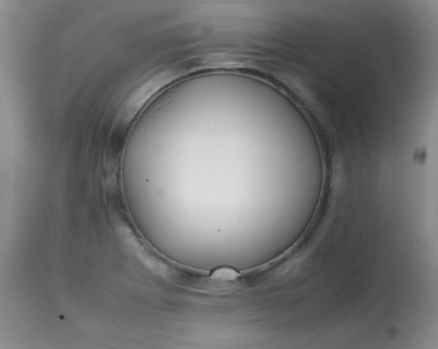 X0000113561273200910091406