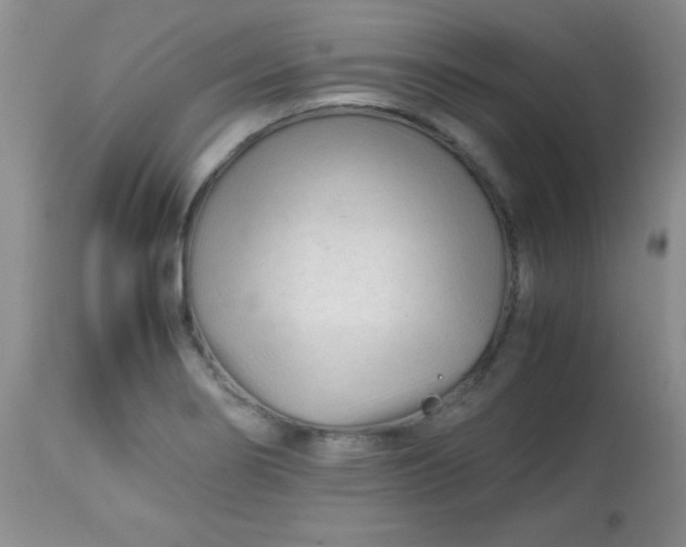 X0000113561274200910091406