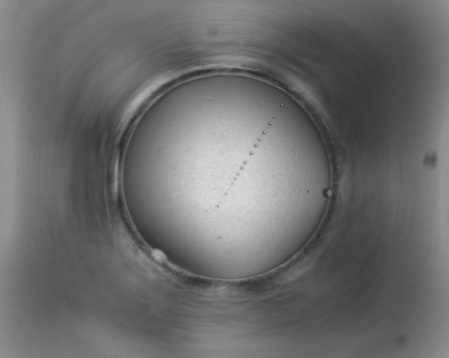 X0000113561275200910091406