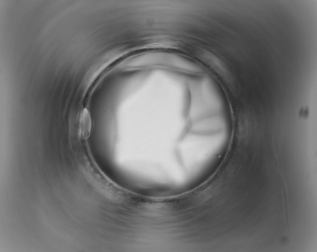 X0000113561276200910091406