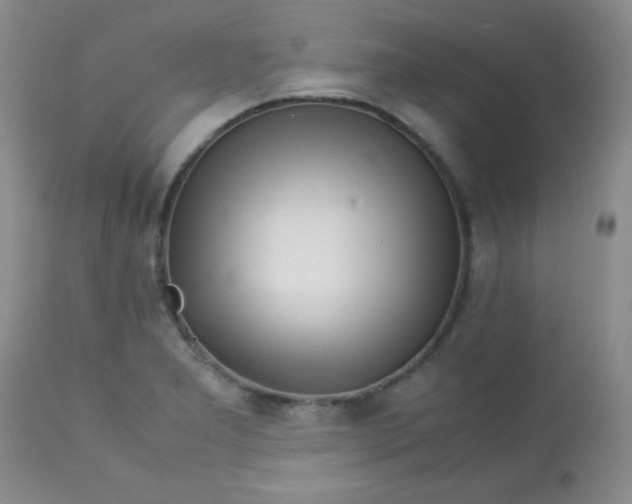 X0000113561277200910091406